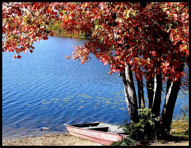 Obituary of Richard H. Ferris