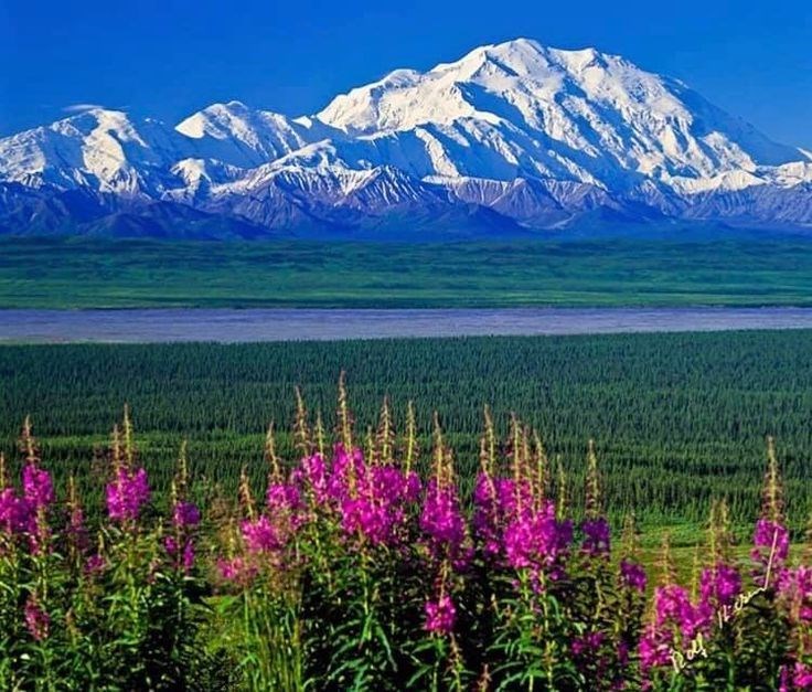 Avis de décès de Clyde B. Rowley