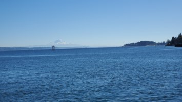 Obituary of Chris Walsh