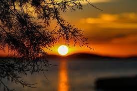 Obituary of Joseph Barin Kennedy