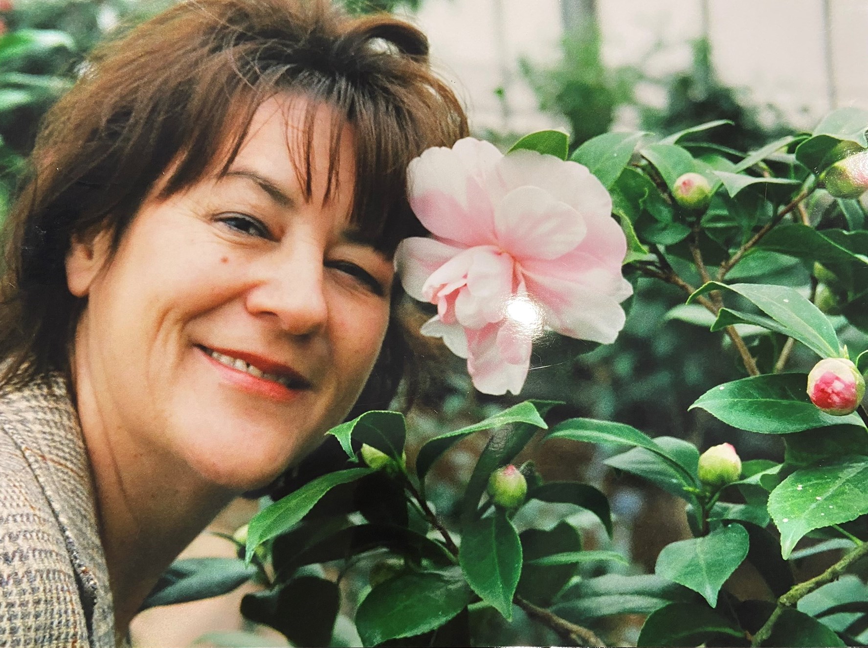Rebecca Williams Obituary Stuart, FL