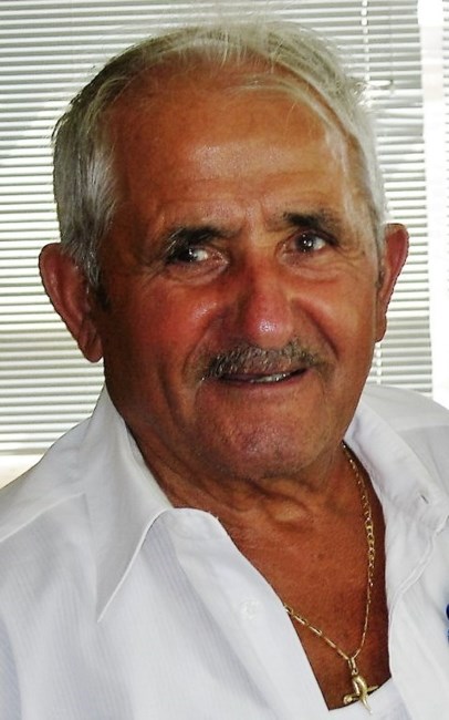 Obituary of Michele Vincelli