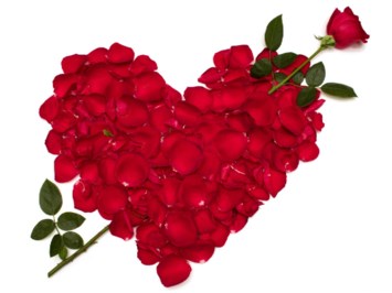 Obituary of Zoraya Ramirez Lopez