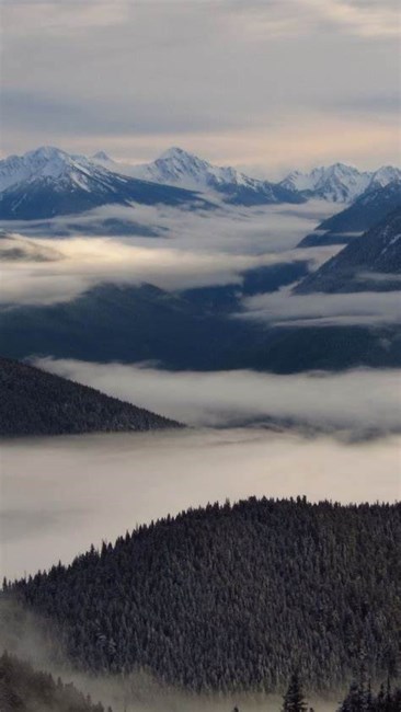 Obituary of Theodore David Green