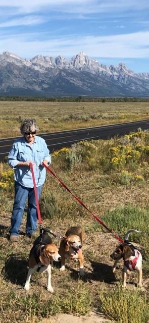 Obituary of Phyllis Vincent Birr