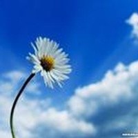Obituary of Martha Parrott