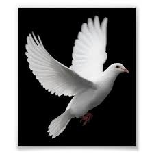 Obituary of Evelyn Jean Mahler