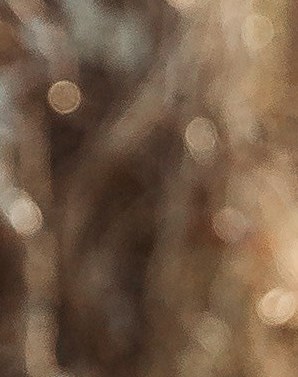 William Robert "Rob" Ewing Jr. Obituary Texarkana, TX