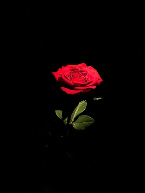 Obituary of Christopher Michael James