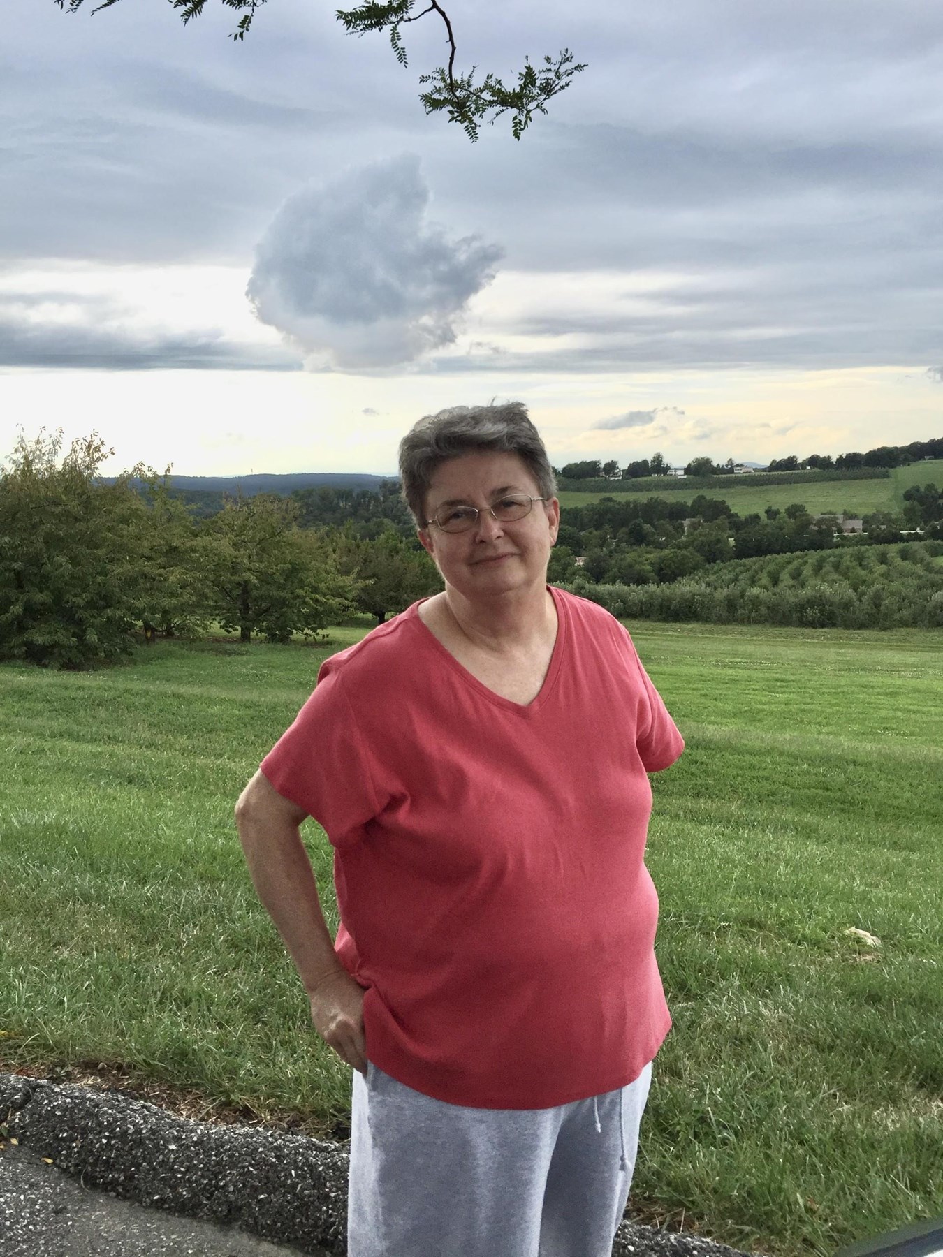 Obituary of Donna Jean Lutz