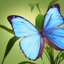 Obituary of Betty M. Sutton