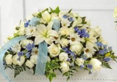 Obituary of Sheldon Isaac Rips