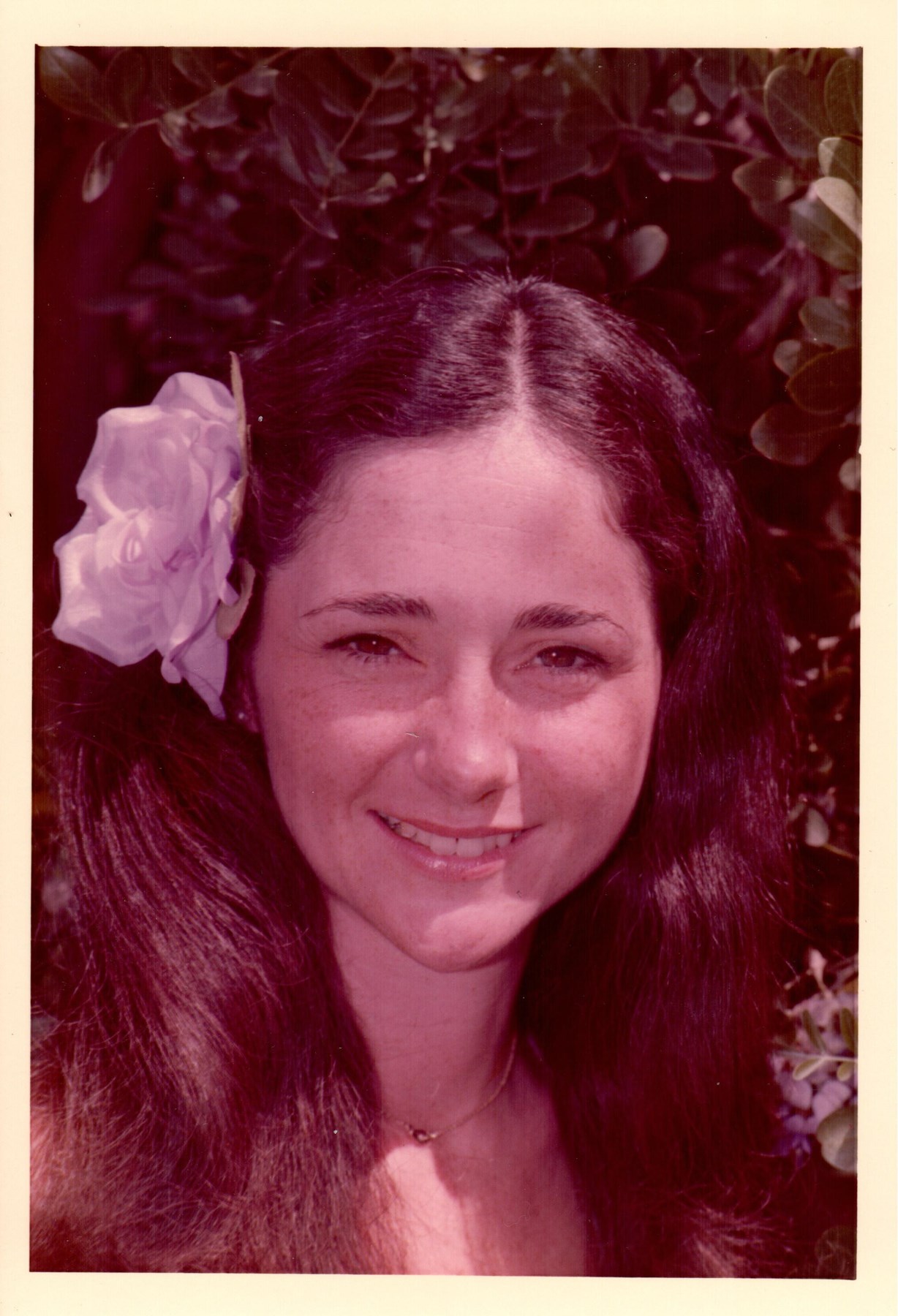 Obituario de Cheryl Kathryn (Stanford) Drost