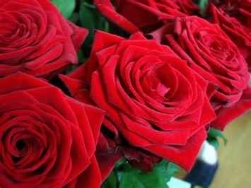 Obituary of Evelyn Parker Gallaher