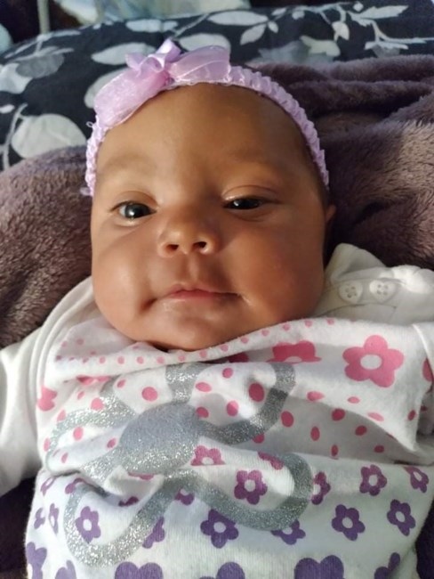 Obituary of Jazzlynn Jade Rollison
