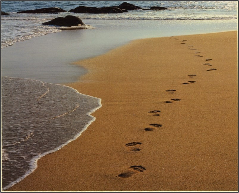 Obituario de Charles T. Holloway