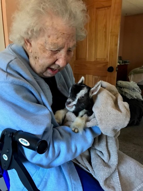 Obituary of Arlene Elizabeth Ritchie