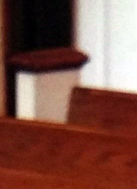 Waldon Phillip Spangler Jr. Obituary - Madison Heights, VA