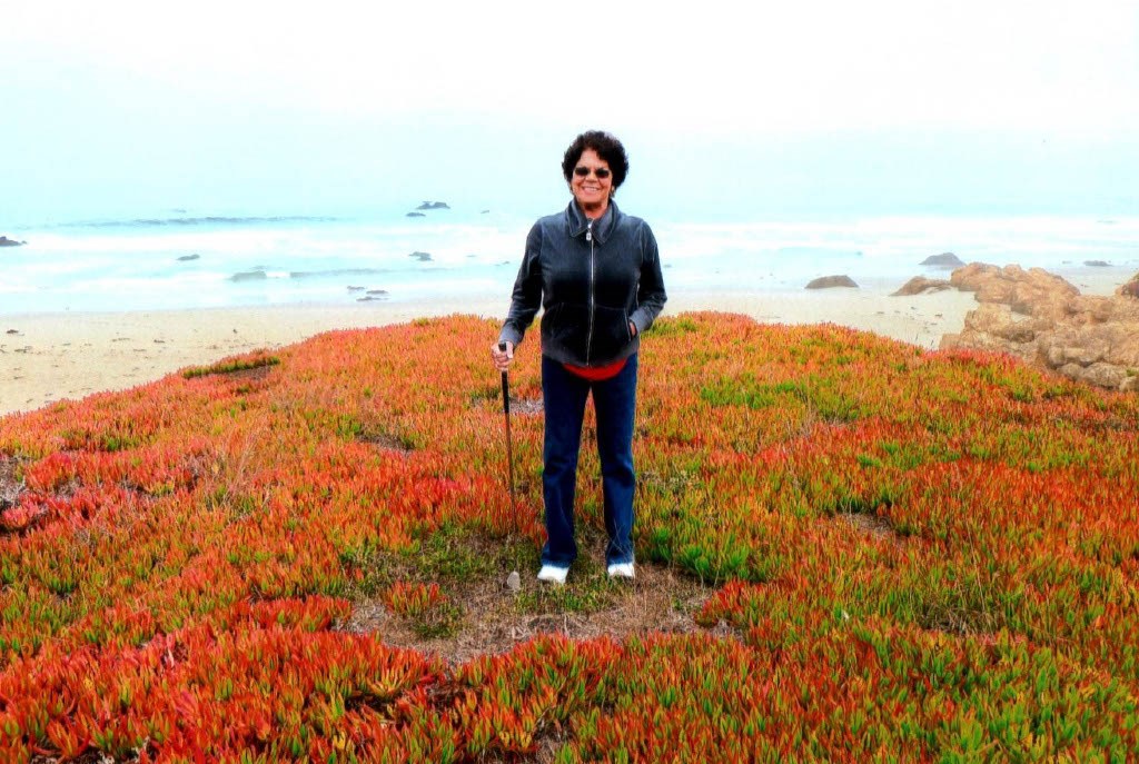 Obituary of Judy Andrea Garcia