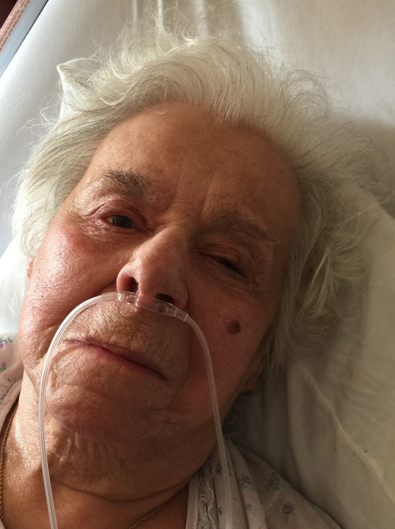 The News Herald Morganton Nc Obituaries - 71gzhzg
