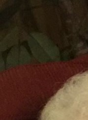 Mary Ann Rushing Obituary - Columbus, GA