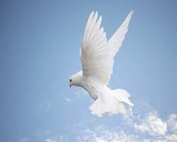 Obituary of Eliseo Alvarez