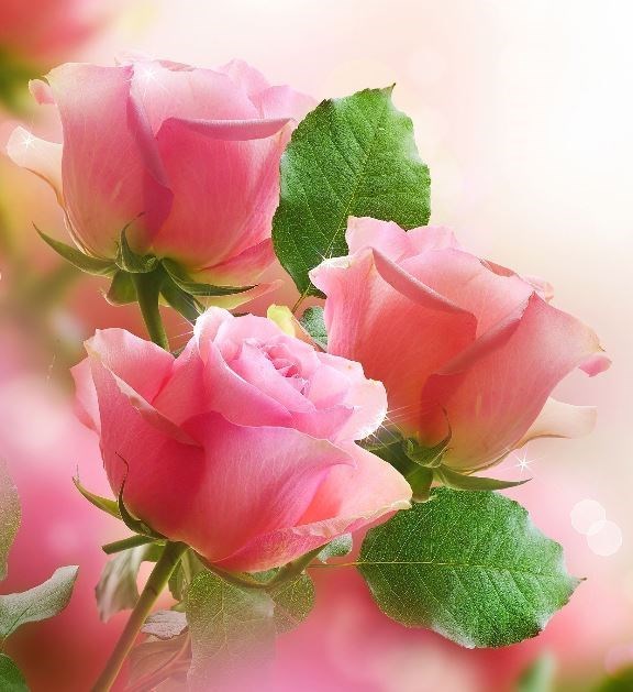 Obituary of Mary Lou Smith