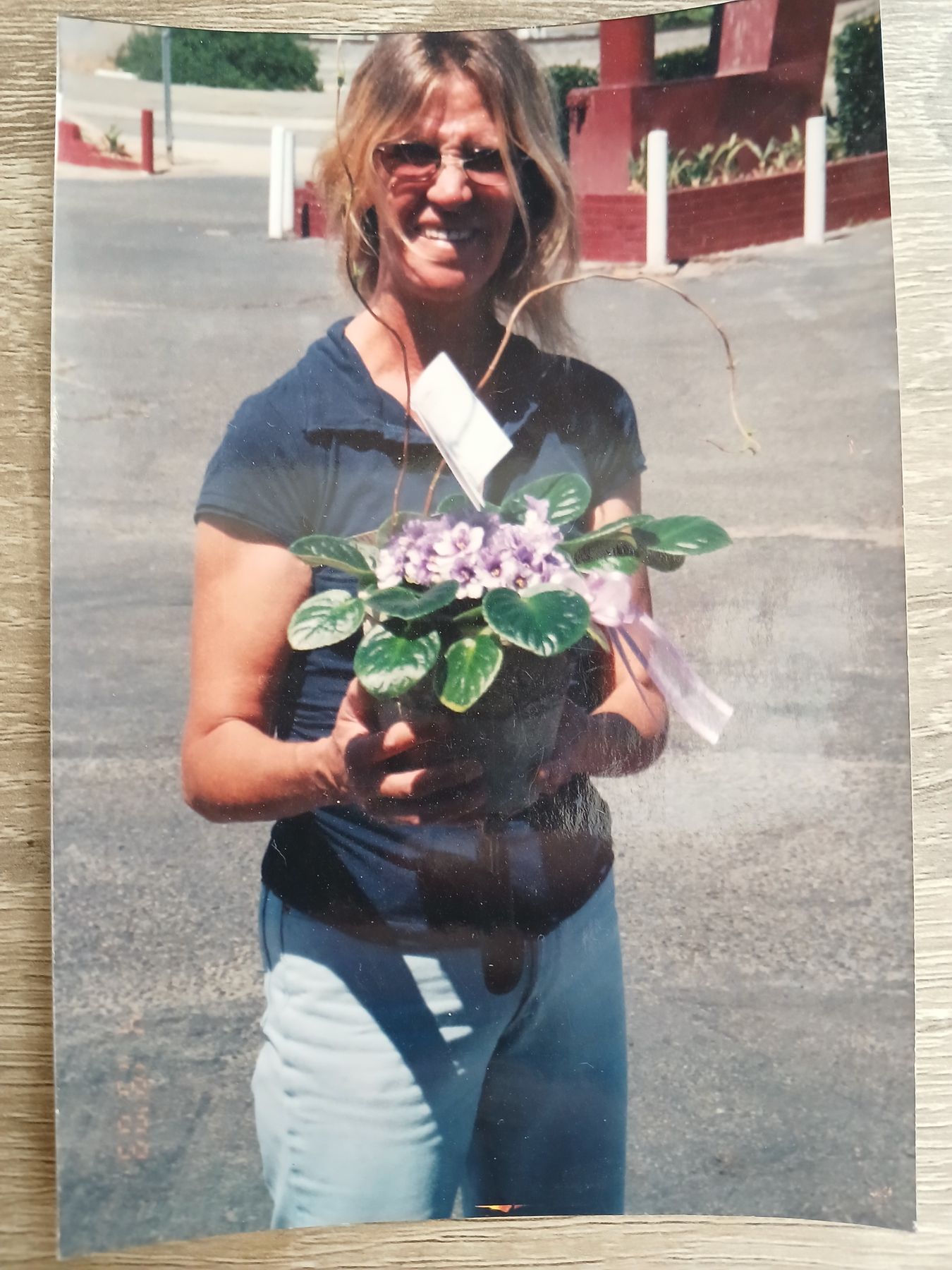 Obituary of Renee Joanne Ollis