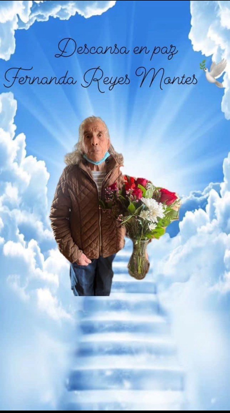 Obituary of Fernanda Montes Reyes