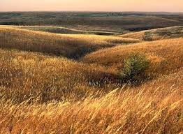 Obituario de Lynda Sue Lutz