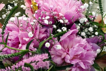 Obituary of Linda Myers