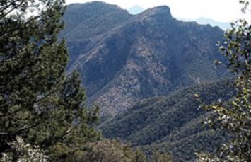 Obituary of Esperanza Sandoval