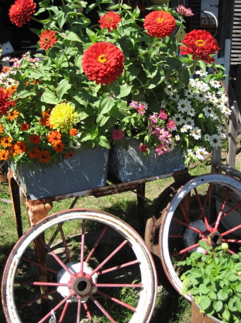 Obituary of Kathy Lynn Metcalf