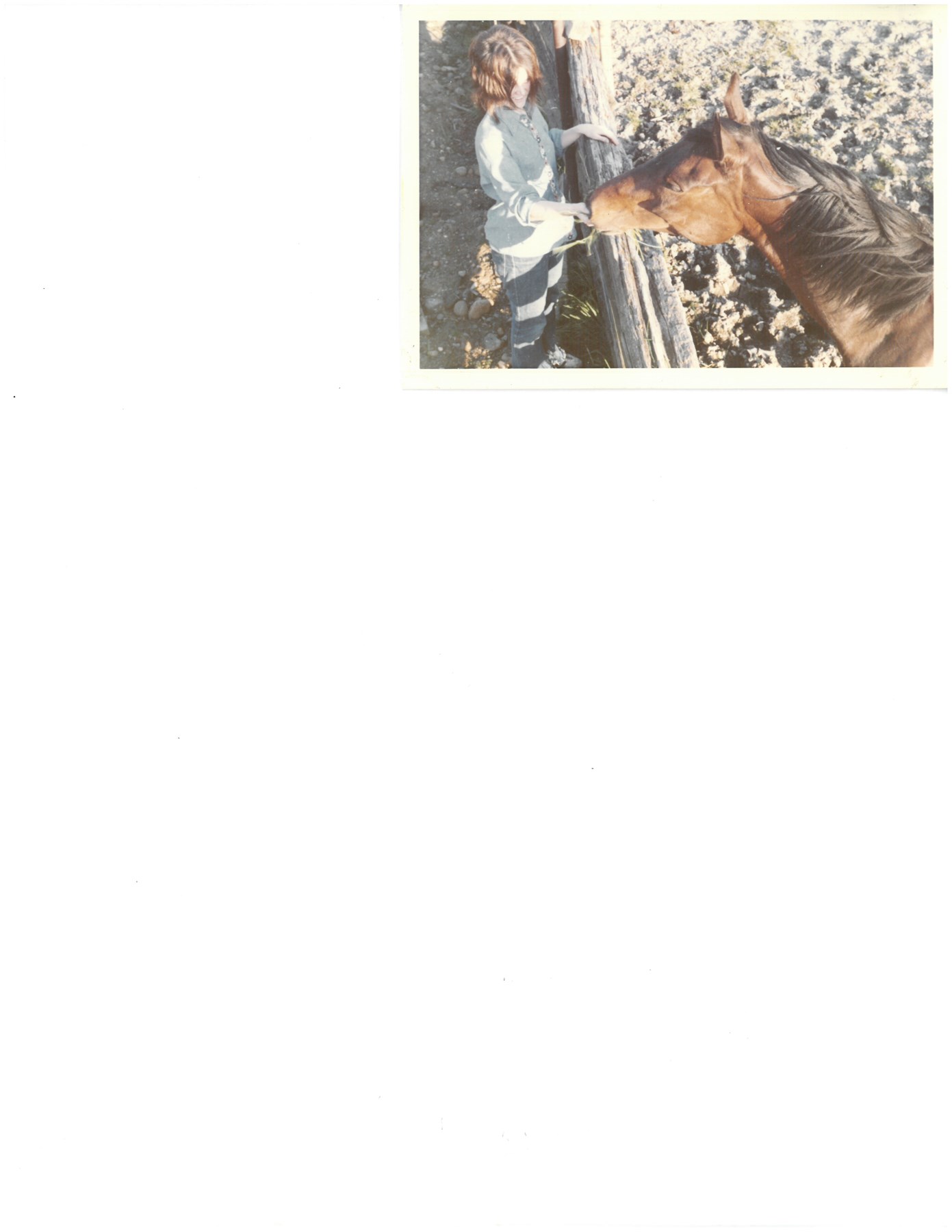 Obituary of Maureene L. Devaney