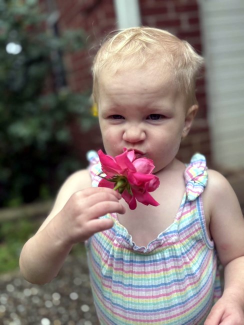 Obituary of Chloe Michelle Reed