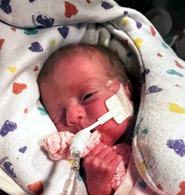 Obituary of JoEllen Marie Cottone