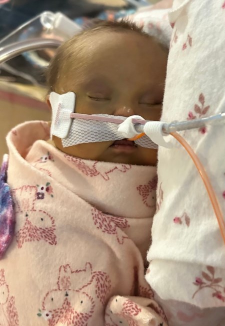 Obituary of Camila Lou Hailer