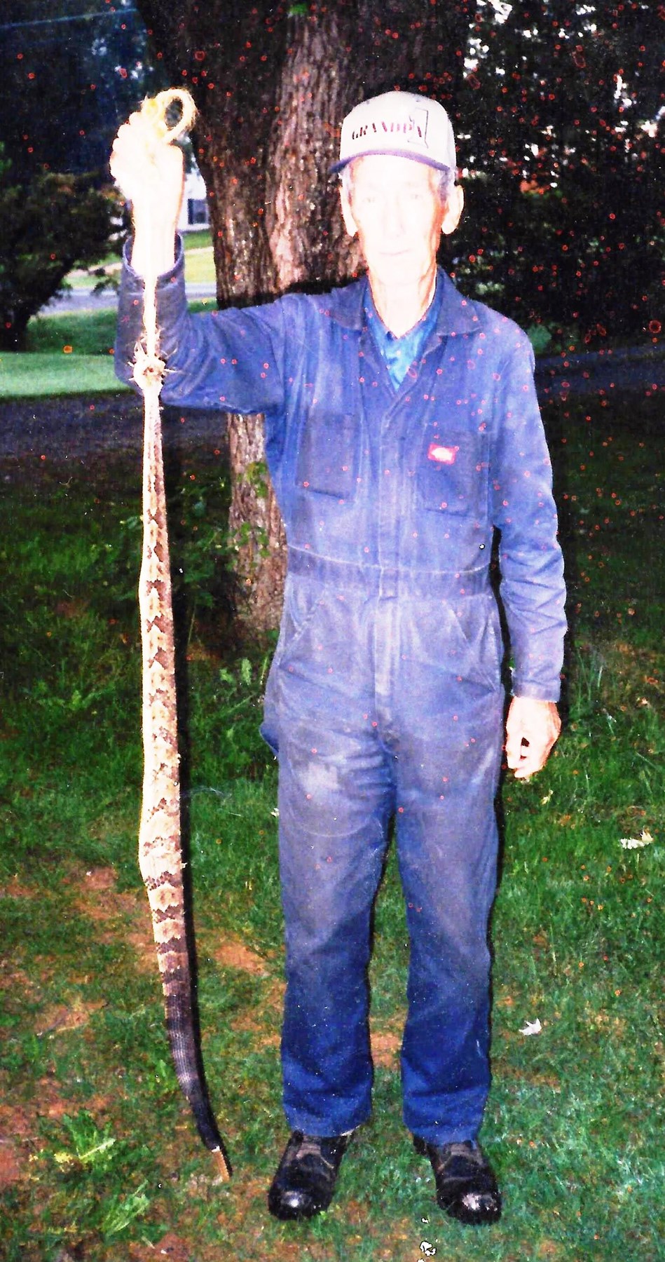 Obituary of Loring Anderson Jr.