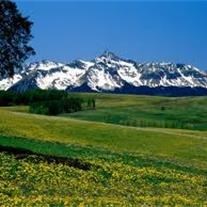 Obituary of Peter Michael Davidson