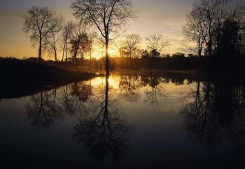 Obituary of Helen K. Grimes