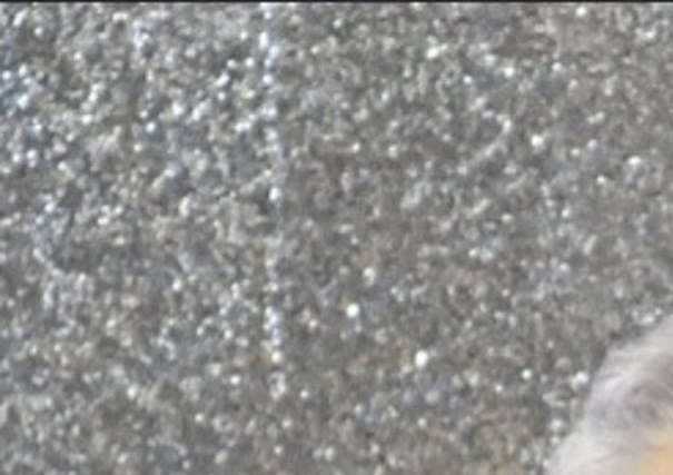 Elida Silvas Garcia Obituary - Houston, TX