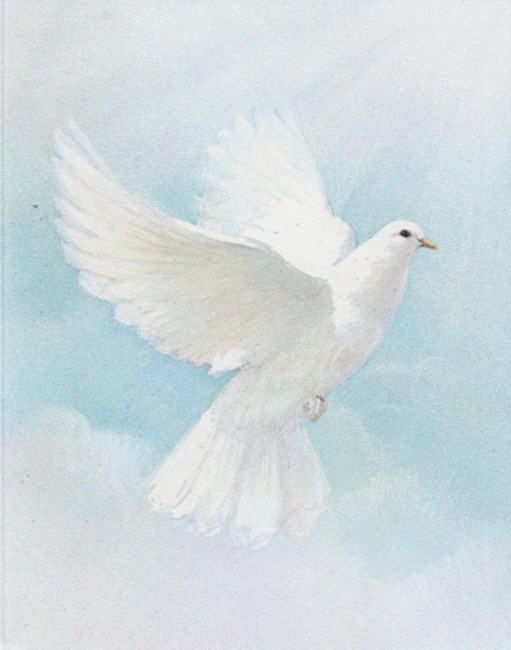 Obituary of Brenda Moore Franks