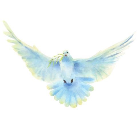 Obituary of Rachel Pena