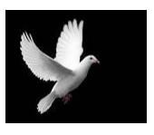 Obituary of Andres A Corredeira