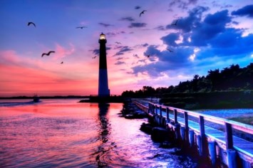 Obituary of Barbara Rosenfeld Sheldon