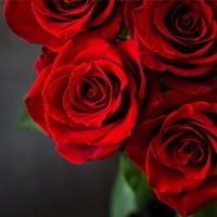 Obituary of Eudeen May Smith
