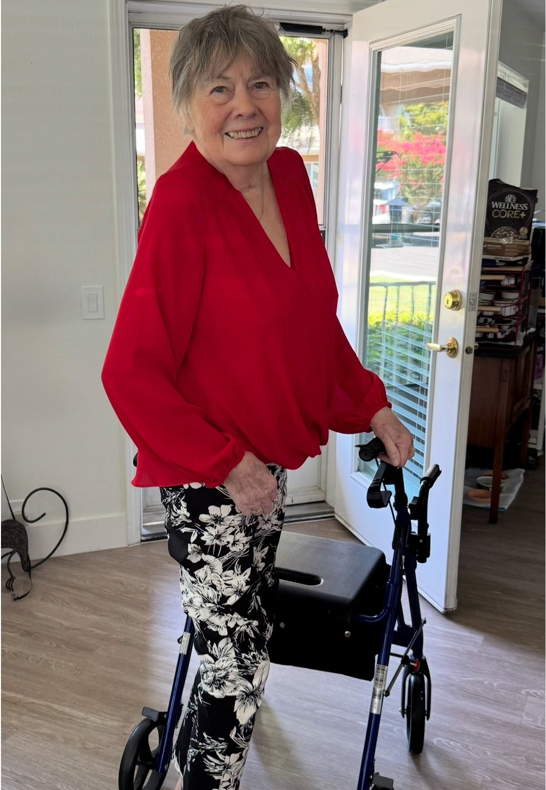 Obituary of Patricia Louise Colella