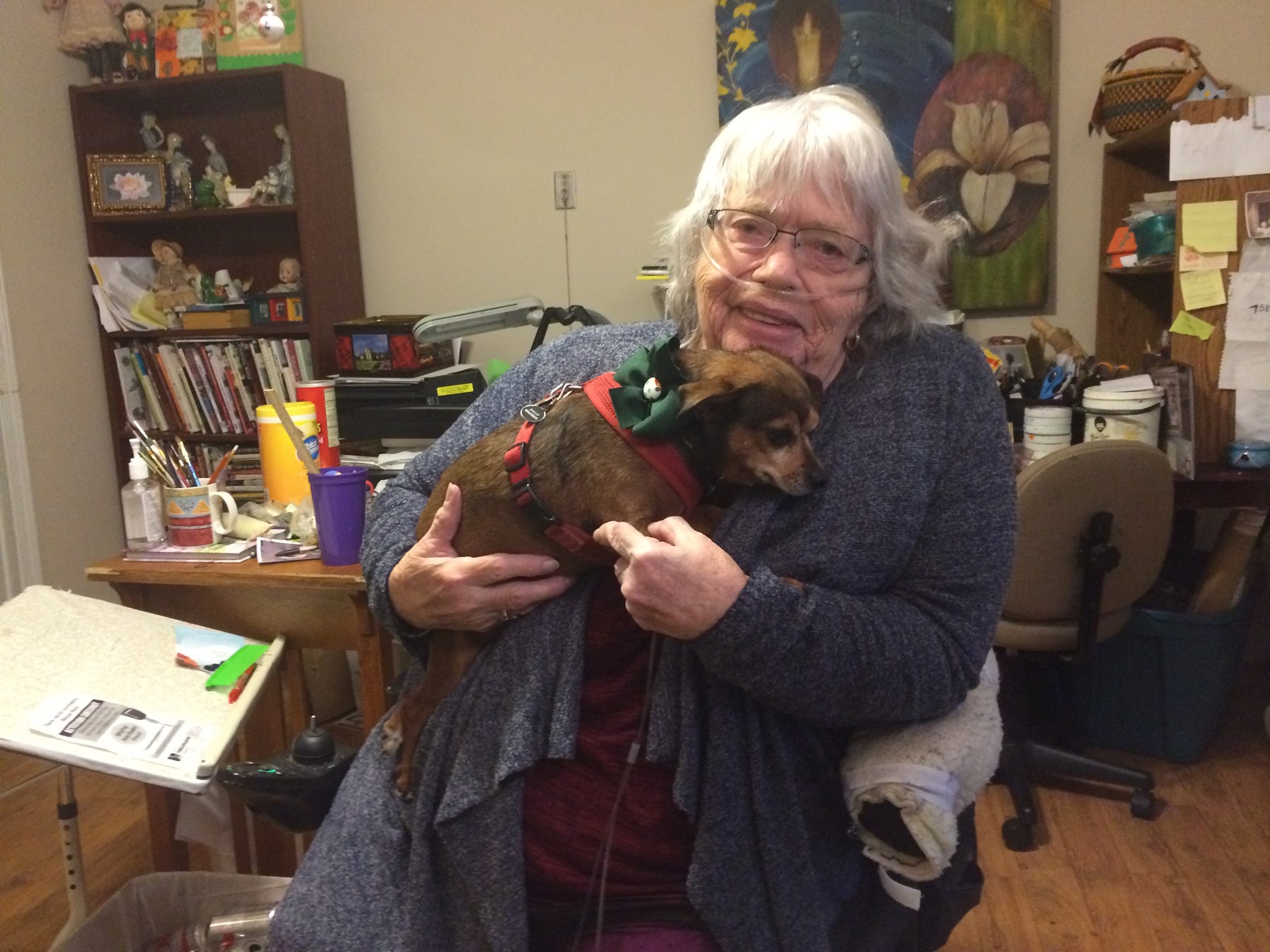 Obituary of Fiona M. McNab