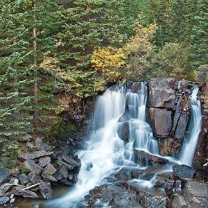 Obituary of Willard Goodwin