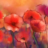 Obituary of Lucious McKindra